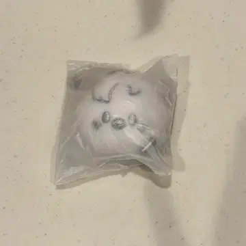 SKZOO 페이스 키링 포가리