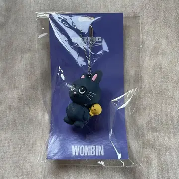 RIIZE 원빈 토냥덕 러버 키링