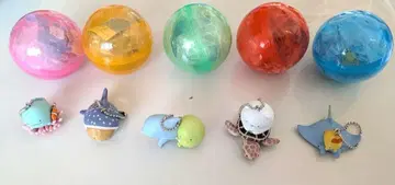 [한정판] 오키나와츄라우미수족관 스미코구라시 콜라보 가챠 5개 세트 1