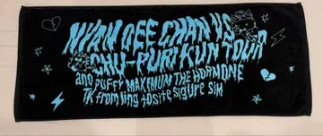 아노짱 ano 합동 라이브 공연 밴드 투어 머플러 타월