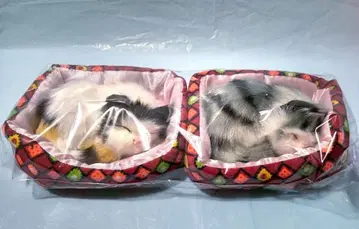 새근새근 잠자는 고양이 입상 2개 세트