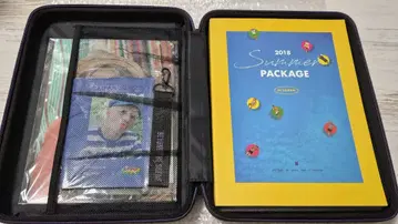 Bts 서머 패키지 2018 태태 V