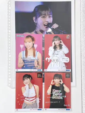 안쥬르므 코레샤 핑포스 하시사코 린