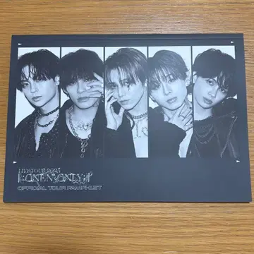 ONE N'ONLY 라이브 투어 2025 원엔온리 팜플렛