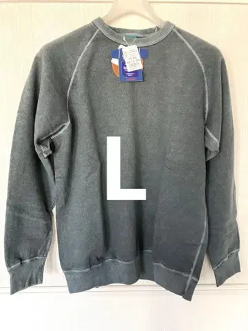 RAGLAN CREW SWEAT P-SLATE / GOBW-101