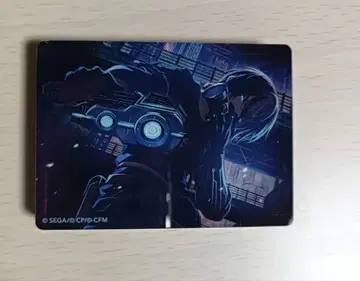 아오야기 토야 노블 아트 46