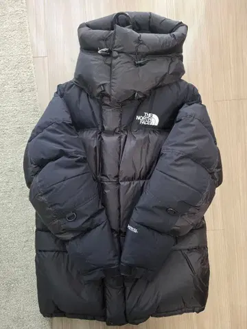 THE NORTH FACE 블랙  힘 다운 후드티 L 사이즈