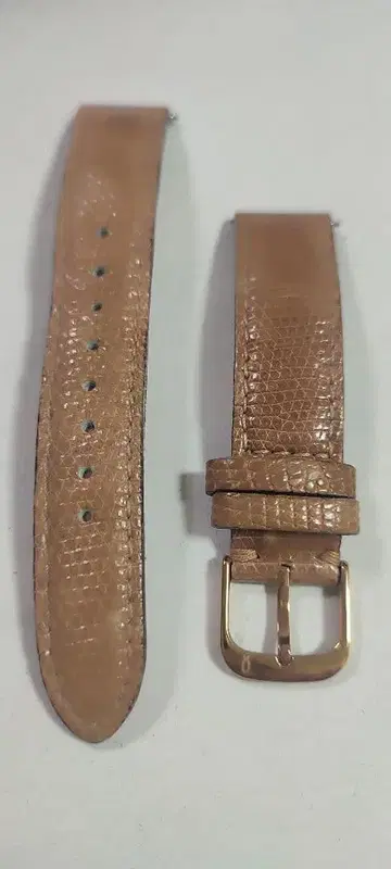 놋 리자드 시계 벨트 브라운