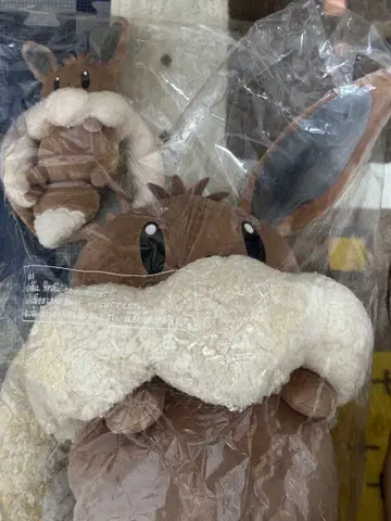 버튼의 이브이 백팩 백팩형 파우치 묶음 판매