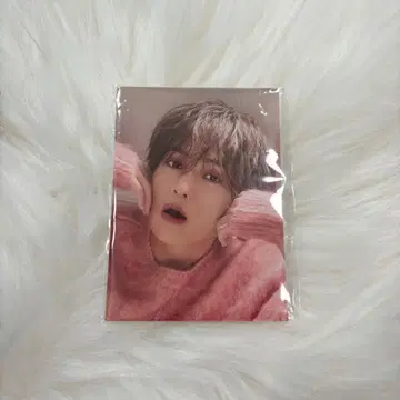 쭉쭉 야기 유세이 트레이딩 카드