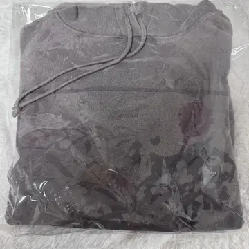 straykids 현진 후디