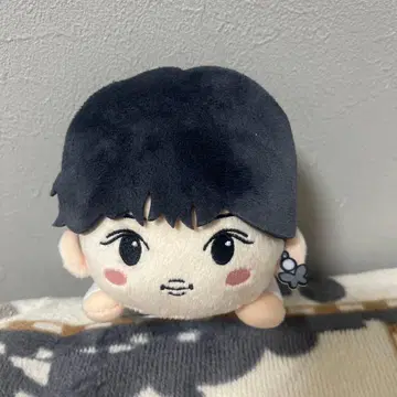 NCT CCOMAZ 누워있는 봉제 인형 사쿠야