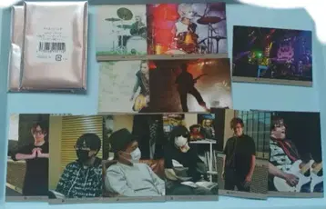 게임 실황자 와쿠와쿠 밴드 트레이딩 카드 12장