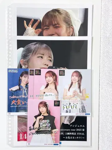 안쥬르므 코레샤 핑포스 타메나가 시온