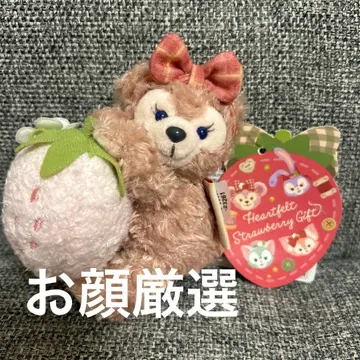 하트 펠트 스트로베리 기프트 봉제 인형 참 셰리 메이