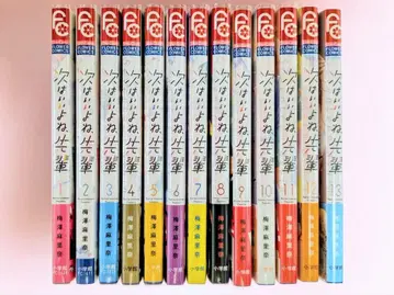 다음은 괜찮겠지, 선배 1~13권 세트