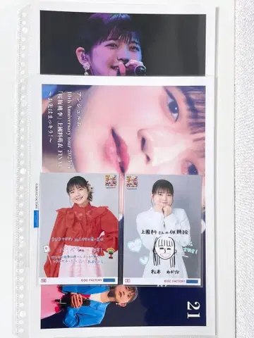 안쥬르므 콜렉션 사진 핀포토 마츠모토 와카나