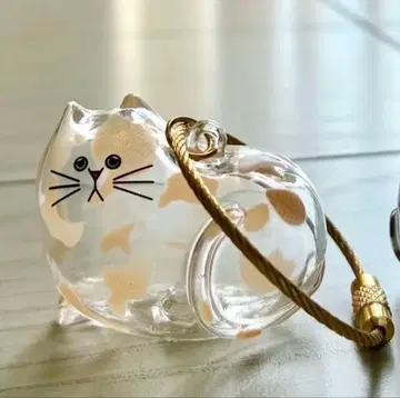 [ 미개봉 새상품 ] 우리 아이 털뭉치 시플라 한정판 녹색 고양이