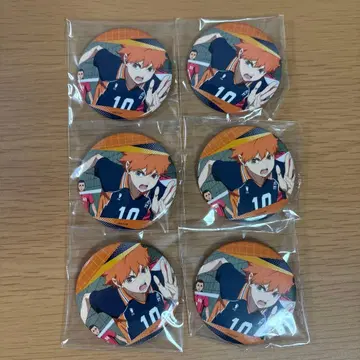 하이큐 백면상 캔뱃지 히나타 쇼요 B 6개 세트