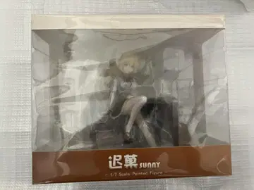 미개봉 새상품 삼색회연 TE 지과 UnknownModel