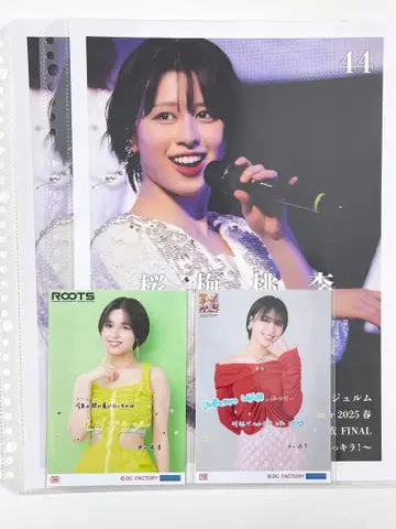 안쥬르므 코레샤 핑포스 히라야마 유키