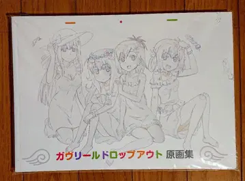 [ 새상품 ] 가브릴 드롭아웃 원화집