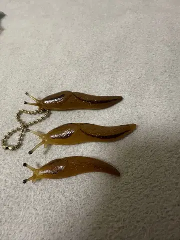 민달팽이 나메쿠지 피규어 가챠 3개 세트