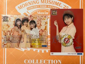 MF 코레샤 세트 유미게타 슈킨