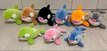 스마 시월드 범고래 오르카 돌고래 봉제 인형 쿠지 한정 컬러 일괄 판매