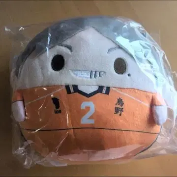 타임세일 하이큐 스가와라 코시 후 와코로링 M 사이즈 세컨드 유니폼