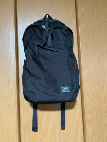 GREGORY(그레고리) 백팩 EVERYDAY V2 119662