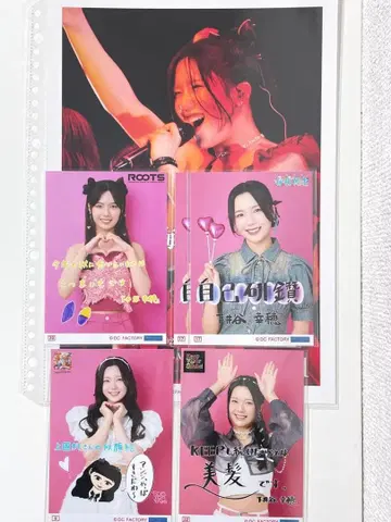 안쥬르므 콜렉션 사진 핀 포토 시모이타니 사치호