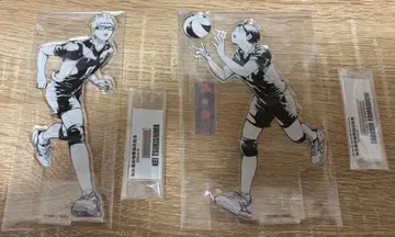 하이큐 아크릴 스탠드 츠키시마 케이 야마구치 타다시 센다이 관광 특사