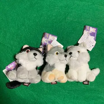 보송보송 늑대 미스터리 봉제 인형 마스코트