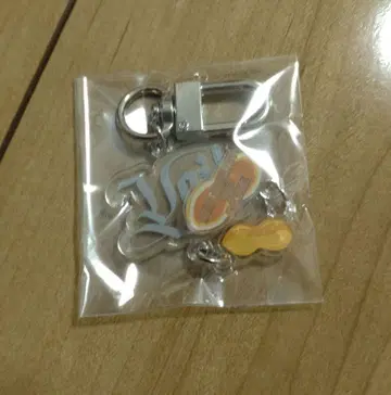 SHINee 태민 Veil 가챠 회장 한정판 키링 치바