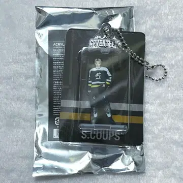 SEVENTEEN HOME 2025 아크릴 키링 에스쿱스 아크릴 키링