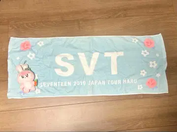 SVT 2019 JAPAN TOUR HARU 타월, 봉제 인형 세트