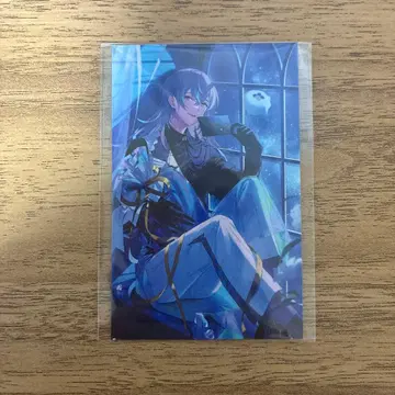 니지산지 호시미치 쇼 노스탤지어 컬렉션