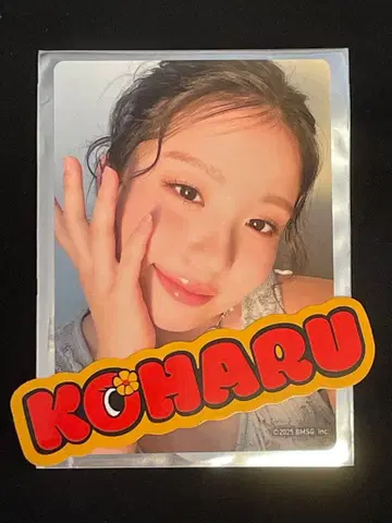 HANA 랜덤 포토 카드 스티커 세트 koharu