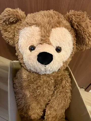 WDW 디즈니베어 더피 점보 봉제 인형