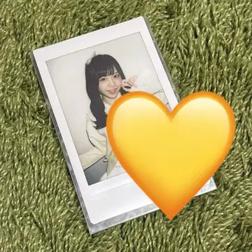 후쿠마루 우사 란 폴라로이드