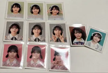 노이 오기 하나 ID PHOTO 스티커 컴프 장미