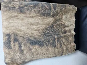 goa Y2K 사이키GAL 레어 스톨 숄