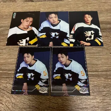 호시 HOME 트레이딩 카드 5장 세트