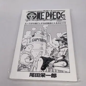 원피스 표지 아트 보드 에이스 107권