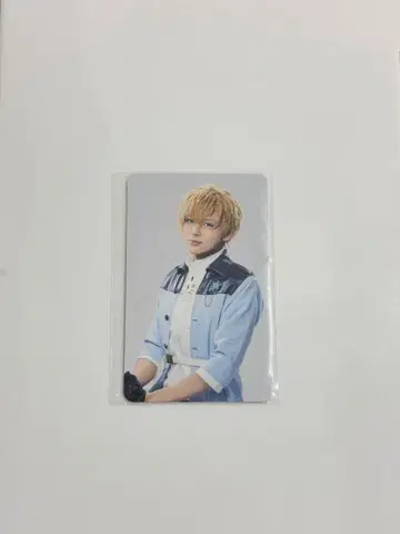 마법사의 약속 마호스테 마호야쿠 트레이딩 카드 히스클리프 카토 다이고