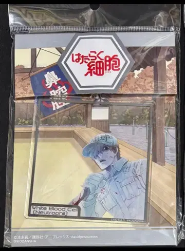 일하는 세포 팝업 화이트 혈소판 사진 프레임풍 아크릴 키링 컬렉션