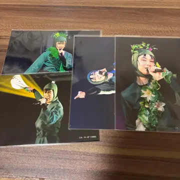 닌뮤 롯칸 란브로