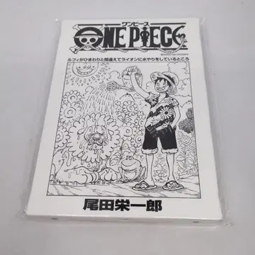 원피스 107권 표지 아트 보드 루피