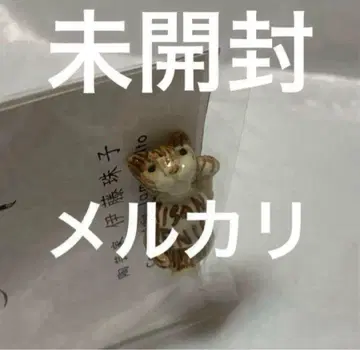 이토 타마코 페이브 MAISON WENIKO(메종 베니코) 고양이